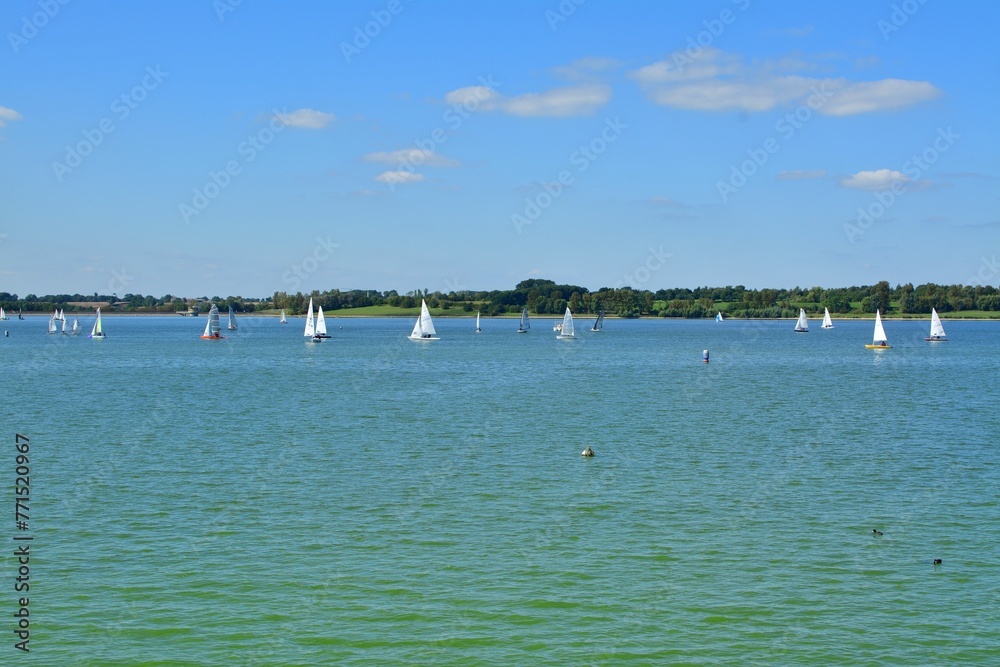 Fleet of sailboats are seen cruising across the tranquil waters of a lake on a bright, sunny day