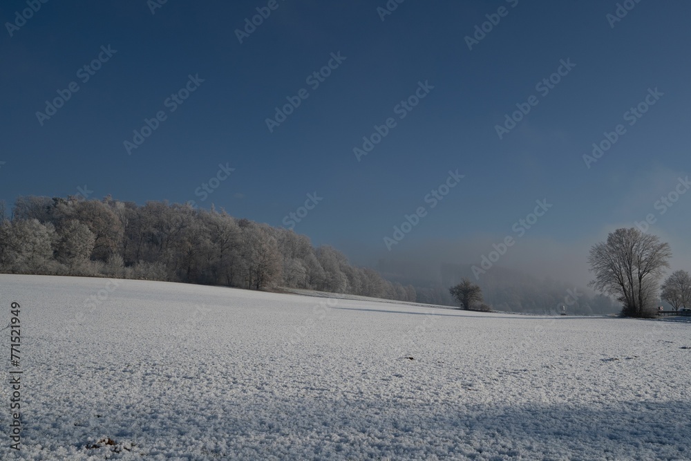 snow on the ground with trees and sky in the background snow on the ground with trees and sky in the background