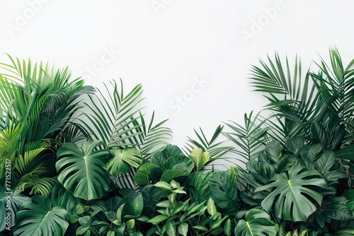 Tropical Green Leaves Frame on White Background. Nature-Inspired Design for Eco-Friendly Concept and Plant-Based Product Marketing