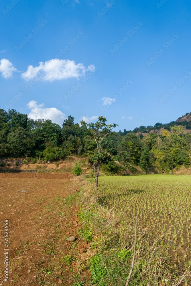 Beautiful green landscape with hills near Wilson Dam in Bhandardara in Maharashtra, India