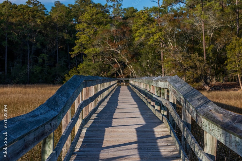 Wooden footbridge traversing a marshy landscape in Coastal South California