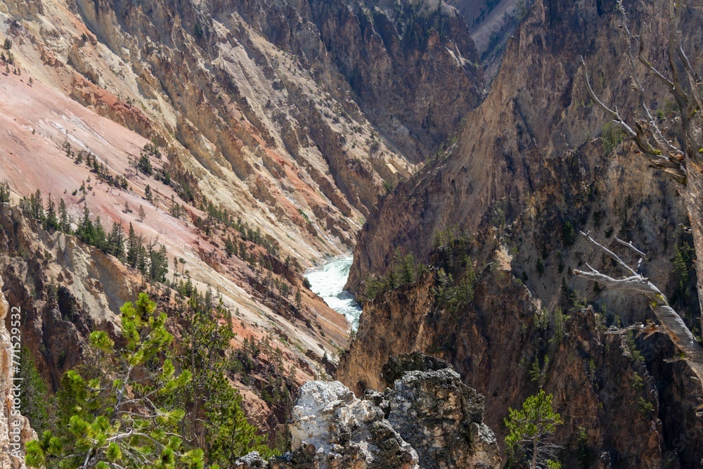 a river running through a gorge near mountains with pine trees