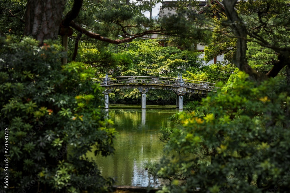 a wooden bridge spanning the middle of a river surrounded by trees a wooden bridge spanning the middle of a river surrounded by trees