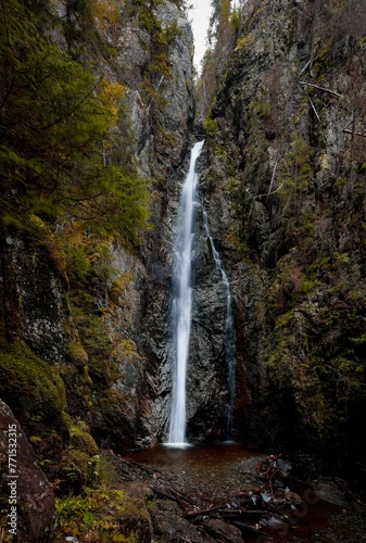 Vertical of a waterfall cascading down the rocks covered with green shrubs