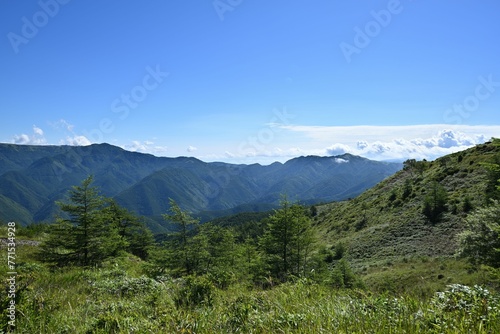 Scenic view of green mountains on a sunny day © Wirestock