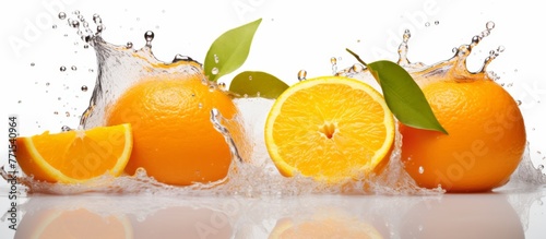 Three oranges  one Valencia orange  one Rangpur lime  and one Clementine  are splashing in liquid on a white surface