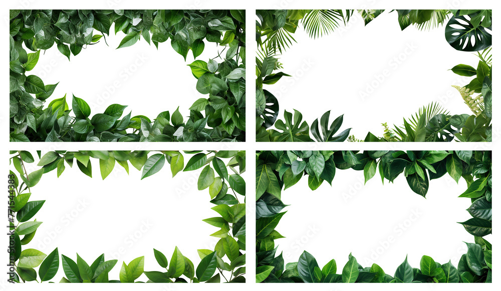 Naklejka premium Set of frames made up of fresh green leaves, cut out