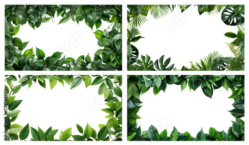 Set of frames made up of fresh green leaves, cut out