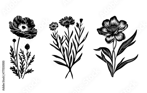 Wild flowers black silhouette linocut illustration. Black outline botanical art.