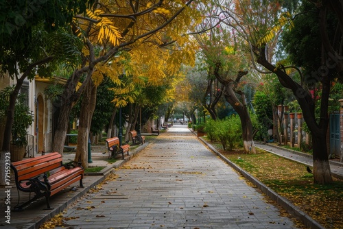 A path lined with trees and benches