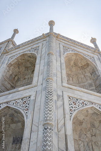 Beautiful stone design on the wall of Taj Mahal