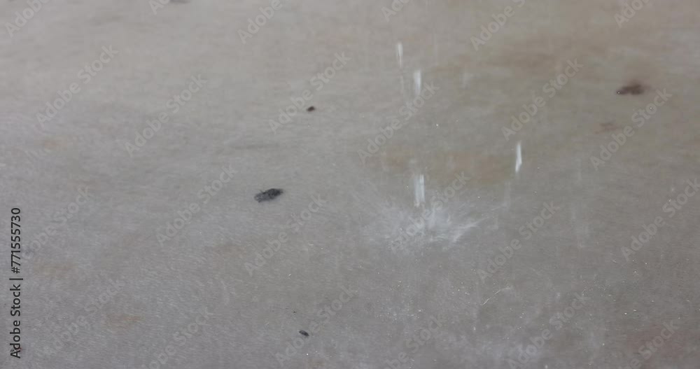 Rainstorm heavy drops on concrete driveway during downpour during thunderstorm Rainstorm heavy drops on concrete driveway during downpour during thunderstorm