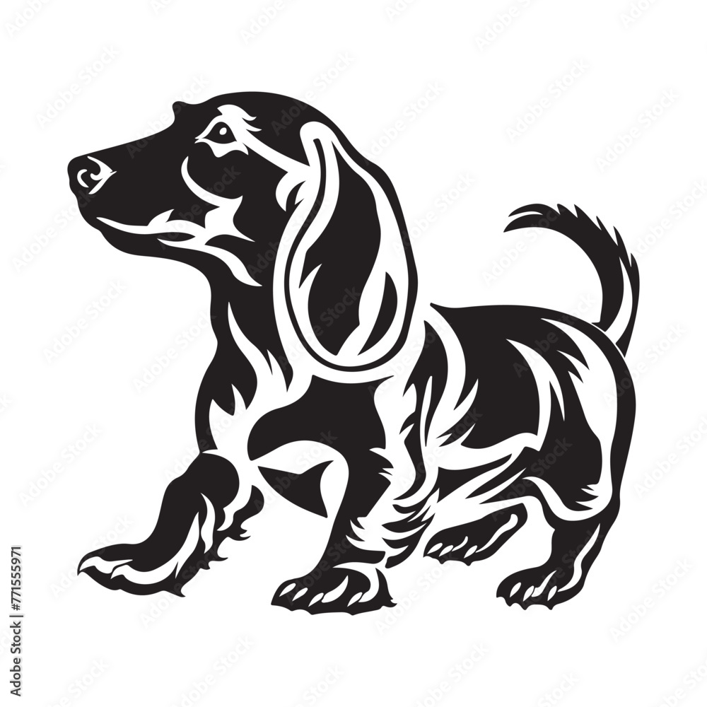 Dachshund Silhouette Vector ., illustration of a dog