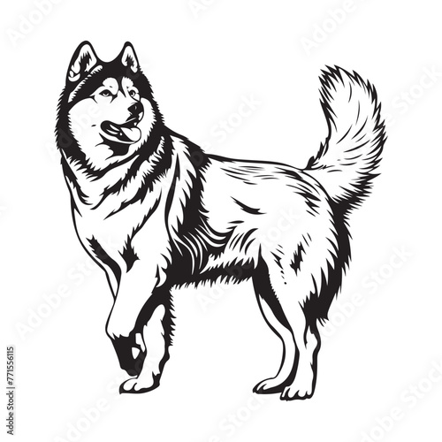 Alaska Malamute Vector Art, Icons, and Graphics