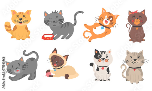 Cute kittens playing, stretching and sleeping. Different amusing pets isolated on white background. Cartoon cat characters collection. Flat color simple style design. Vector illustration