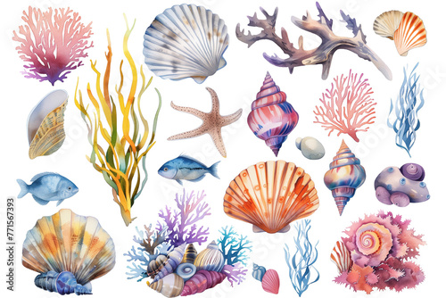 Seashell Collection in Seamless Summer Pattern