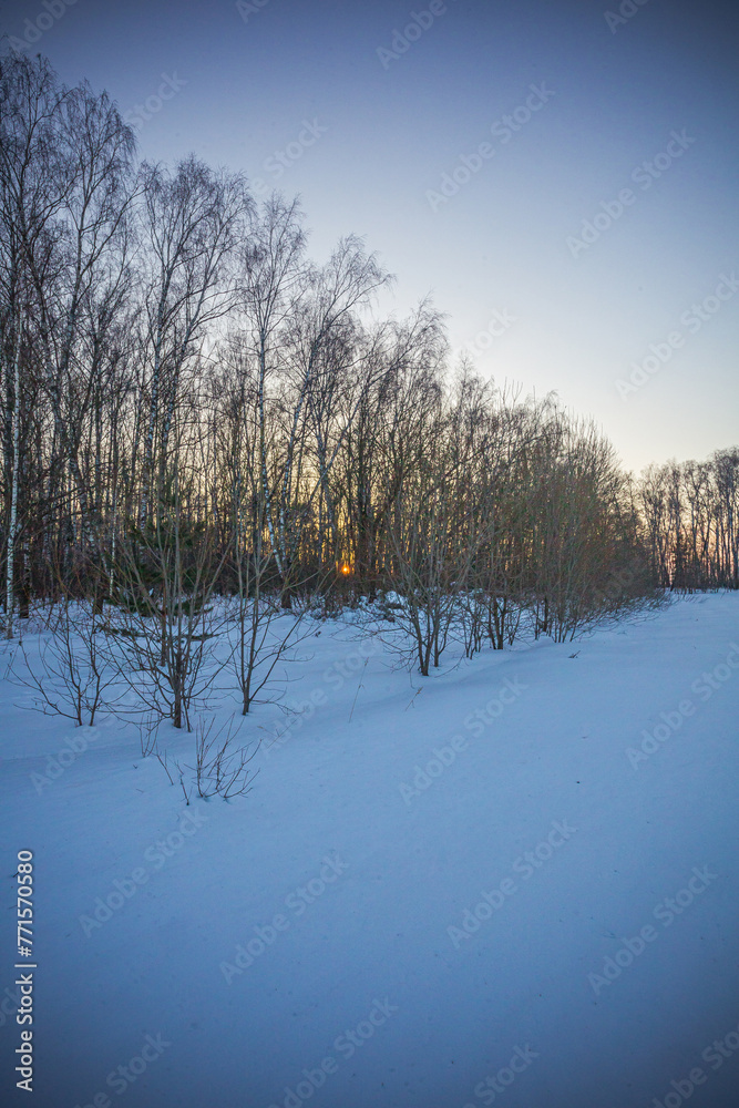 winter nature in the Russian countryside at sunset winter nature in the Russian countryside at sunset