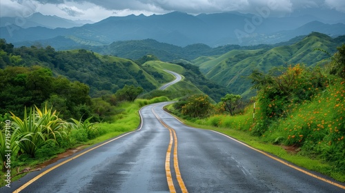 Winding Mountain Road Through Lush Greenery After Rain