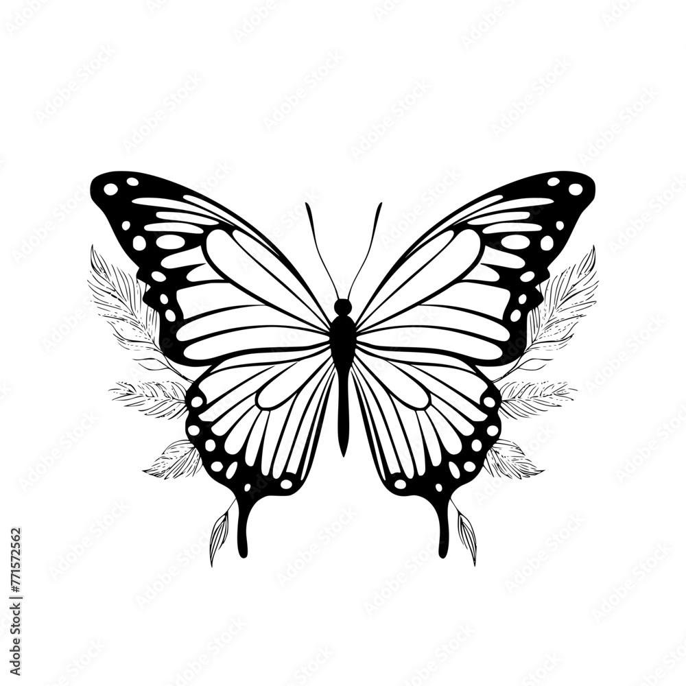 Fototapeta premium butterfly