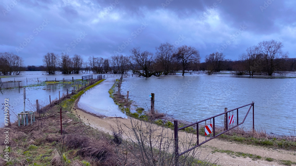 Flooded land in French countryside – blue hour at the river Meuse