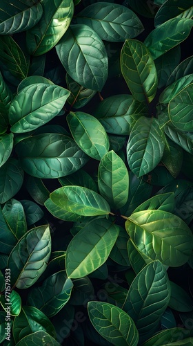 green tree leaves top view. Floral background