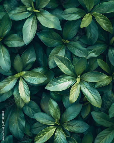 green plant leaves top view. Floral background