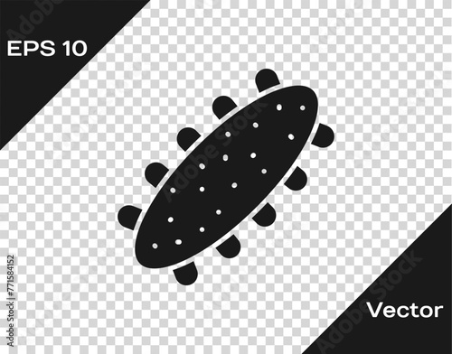 Black Sea cucumber icon isolated on transparent background. Marine food. Vector.