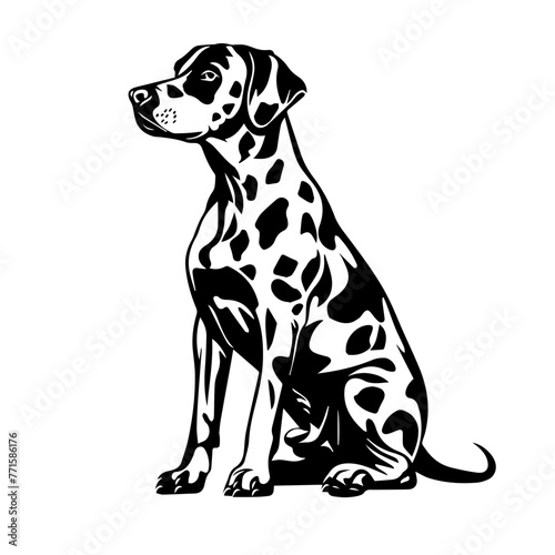 A black and white vector style image of a Dalmatian, white background