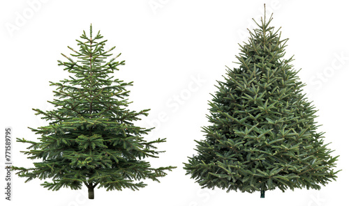 christmast tree collection removed original bakground PNG transparent photo