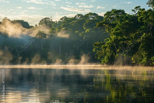 Morning Serenity: Dawn in the Amazon Rainforest, generative ai photo