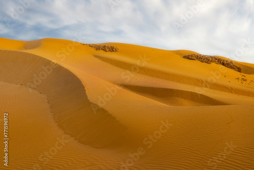 Sand dune in the Negev desert.