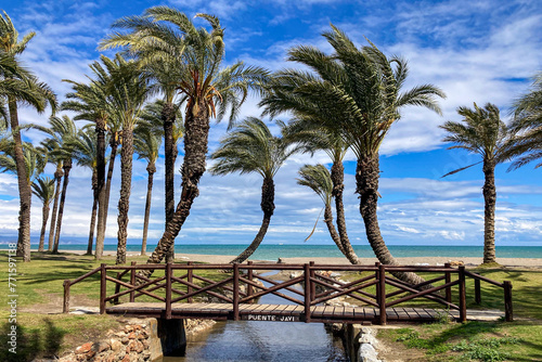 Wooden small bridge on palms and sea background in Torremolinos, Spain © Vitali