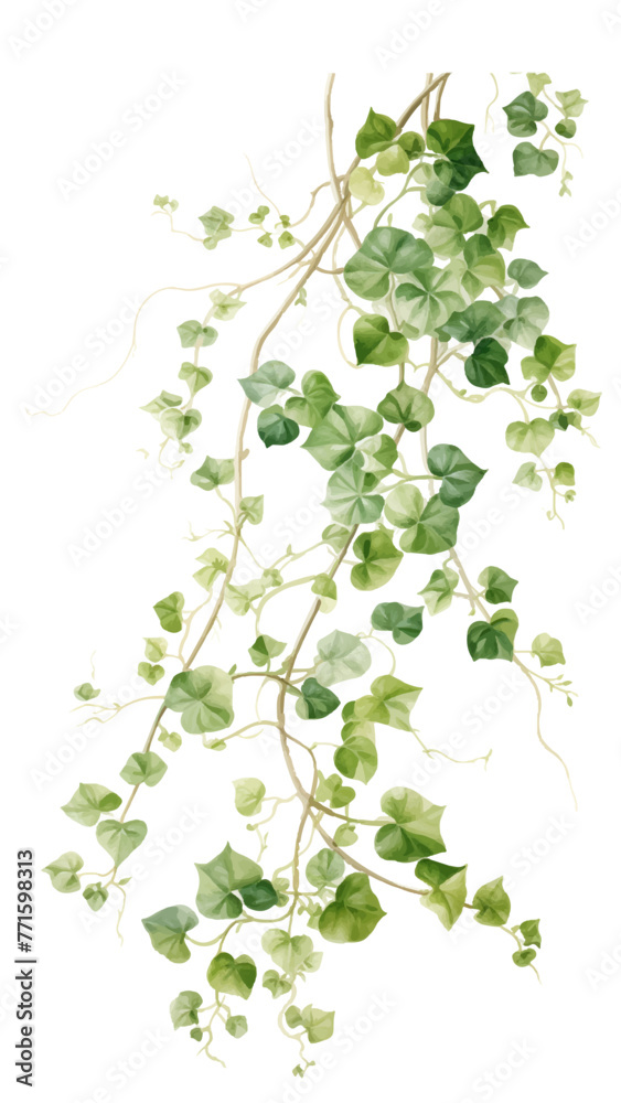 Ethereal Ivy Vines Watercolor: drawing that gracefully captures the delicate ivy vines, featuring detailed green leaves that cascade and intertwine, exuding a serene and lush atmosphere Ethereal Ivy Vines Watercolor: drawing that gracefully captures the delicate ivy vines, featuring detailed green leaves that cascade and intertwine, exuding a serene and lush atmosphere