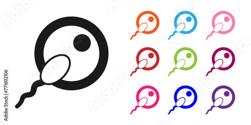 Black Sperm icon isolated on white background. Set icons colorful. Vector