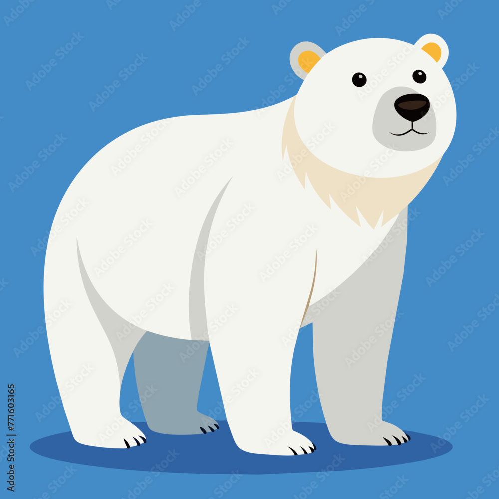 polar bear cartoon illustration