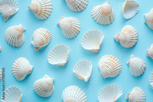 Assortment of seashells arranged on vibrant blue background, top view flat lay composition for summer vacation concept