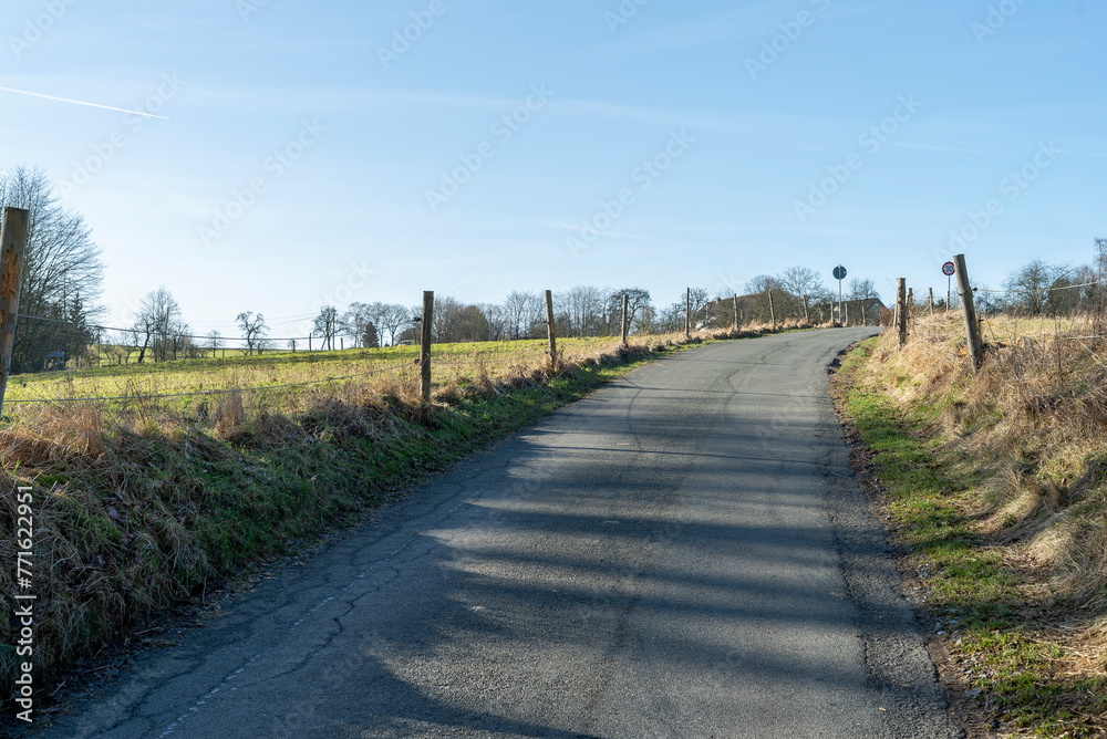 Dirt road in a rural landscape with trees and hedgerows