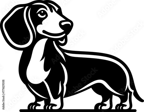 Dachshund Dog