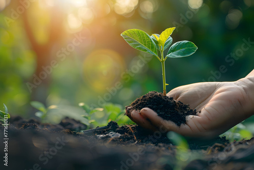 Hand holding small growing tree with soil and green leaves on blurred background, environment protection and ecology with copy space for text.         