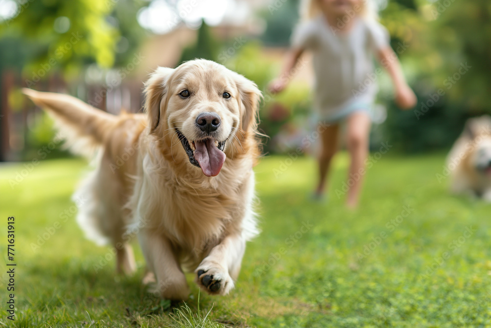Happy family playing with happy golden retriever dog on the backyard lawn. Happy family playing with happy golden retriever dog on the backyard lawn.
