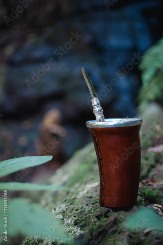 Tereré paraguayo. Bebida fría en el parque. Momentos al aire libre. photo