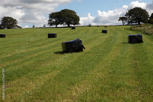 Along the Hadrian's wall between Chollerford and Heddon-on-the-Wall - Northumberland - England - UK photo