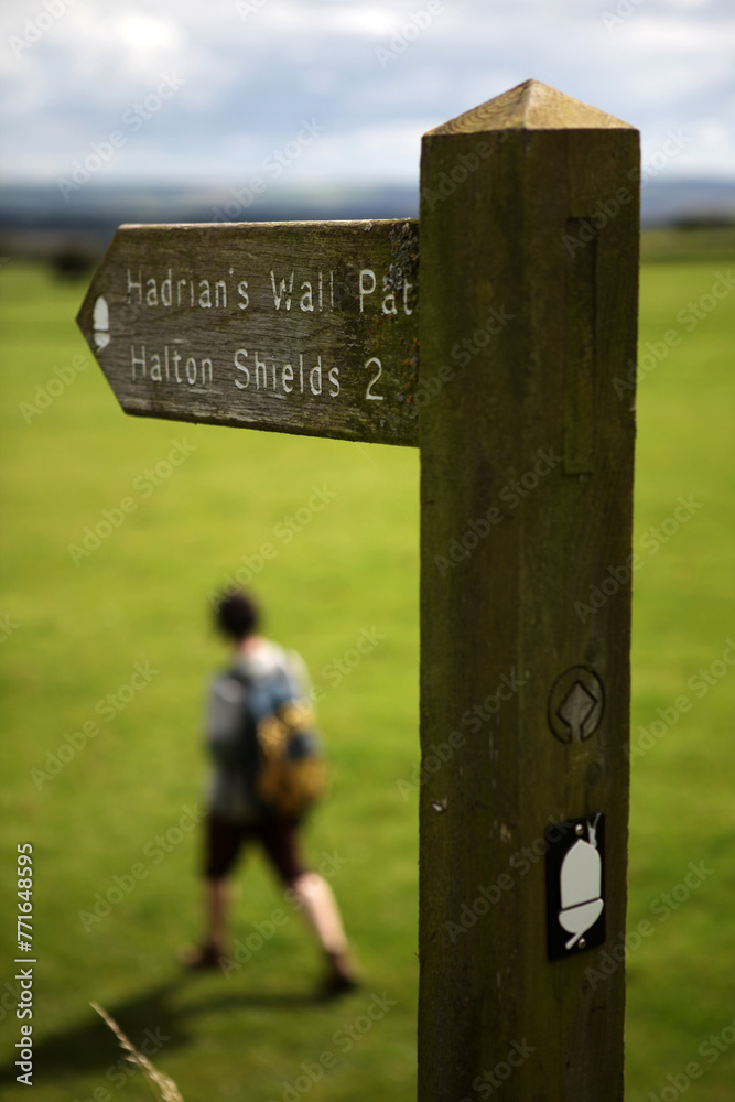 Along the Hadrian's wall between Chollerford and Heddon-on-the-Wall - Northumberland - England - UK