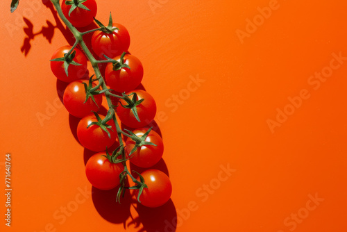 Tomatoes on a branch with a orange background