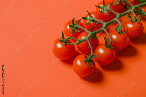 Tomatoes on a branch with a orange background