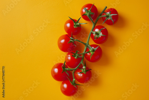 Tomatoes on a branch with a orange background