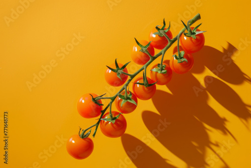 Tomatoes on a branch with a orange background