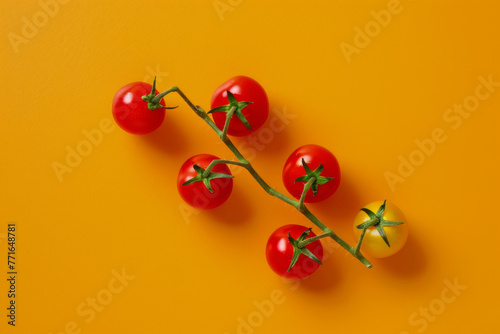 Tomatoes on a branch with a orange background