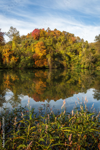 Pond Autumn Reflections