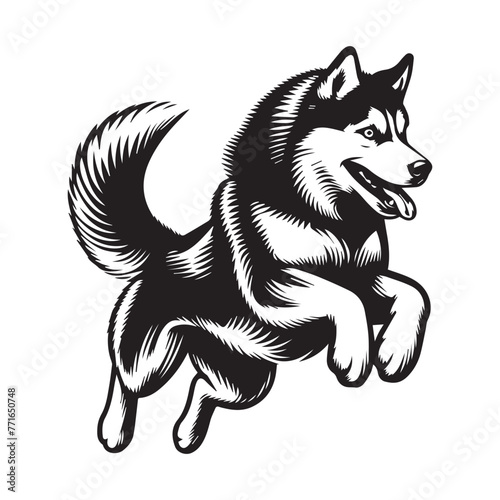 Dynamic Husky Jumping Silhouettes, Siberian husky dog vector silhouette Husky Power II Mascot, Husky dog poses. Cartoon running